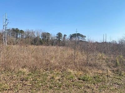 /international/us/watts-bay-dr-lot-1-wallops-island-va-110098212300/