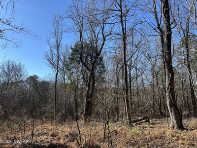 /international/us/blairs-chapel-road-jackson-tn-110105312138/