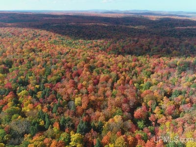 /international/us/80-acres-co-rd-510-ishpeming-mi-110120059628/