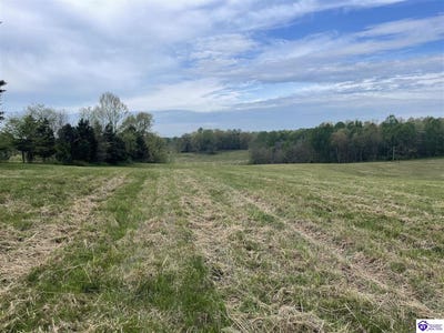 /international/us/tract-10-webster-road-campbellsville-ky-110098980304/
