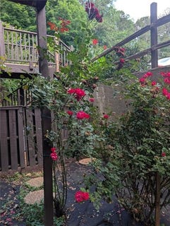 /international/us/206-river-run-drive-atlanta-ga-110099691942/