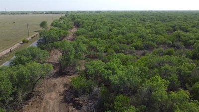 /international/us/231-county-road-lot-10-falfurrias-tx-110098429235/