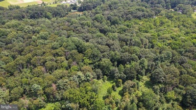 /international/us/0-birch-lane-pilesgrove-nj-110101101718/?lang=zh-tw