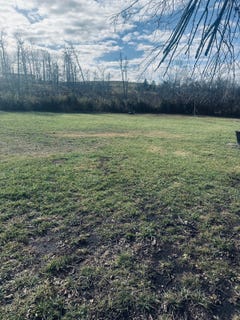 /international/us/2874-merle-travis-hwy-beech-creek-ky-110096704090/