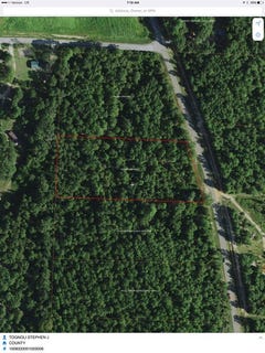 /international/us/county-road-53-lot-13-abbeville-al-110101974616/