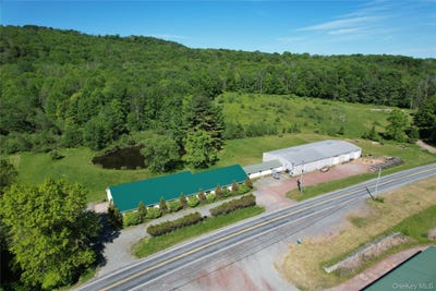 /international/us/295-jeffersonville-north-branch-road-jeffersonville-ny-110108615800/
