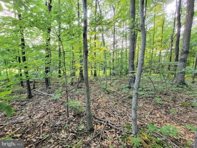 /international/us/parcel-64-new-germany-road-grantsville-md-110096847614/?lang=zh-tw