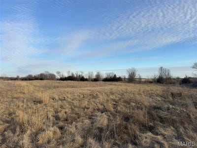 /international/us/lot-10-buckman-drive-monroe-city-mo-110105112663/