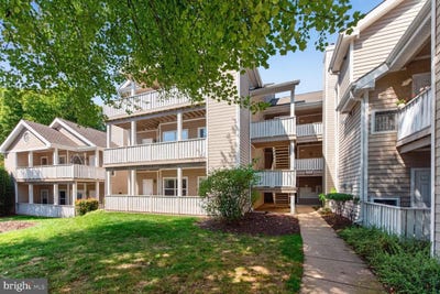 /international/us/14314-climbing-rose-101-centreville-va-110110259751/