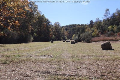 /international/us/hartley-run-leroy-wv-110104016680/