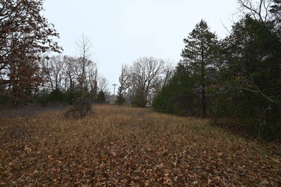 /international/us/21010-trailing-vine-rd-lebanon-mo-110103777356/