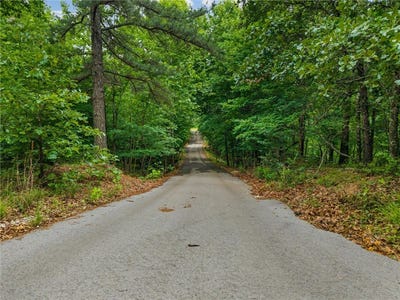 /international/us/16740-bethlehem-road-decatur-ar-110108353790/