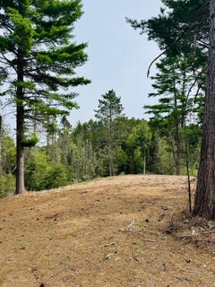 /international/us/5179-babcock-rd-land-o-lakes-wi-110110211946/