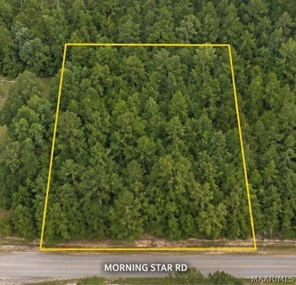 /international/us/morning-star-road-whatley-al-110108090344/