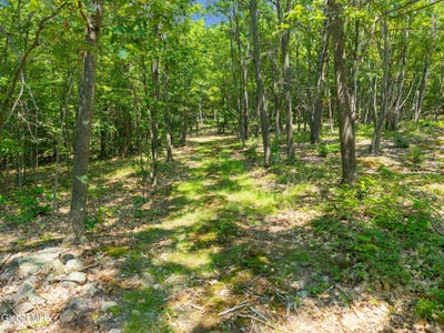 /international/us/l7-harroway-road-richmondville-ny-110094897886/