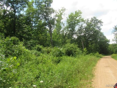/international/us/0-s-czar-tower-20-62-acres-road-steelville-mo-110093393884/
