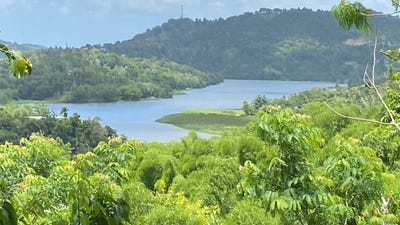 /international/pr/km-hm-4-5-sec-el-salchicon-bo-san-antonio-caguas-caguas-110107311331/