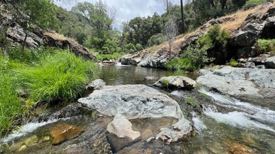 /international/us/sheep-ranch-rd-sheep-ranch-ca-110099605807/
