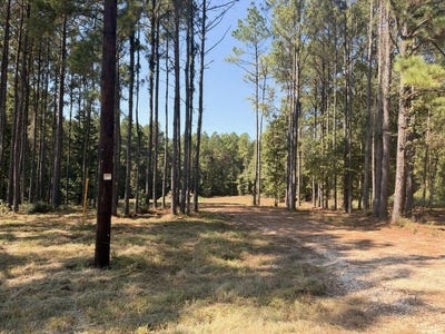 /international/us/150-buck-alley-douglass-tx-110120461454/
