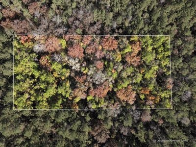 /international/us/1-08-mol-ac-old-hwy-24-parcel-27-mc-lain-ms-110103430192/