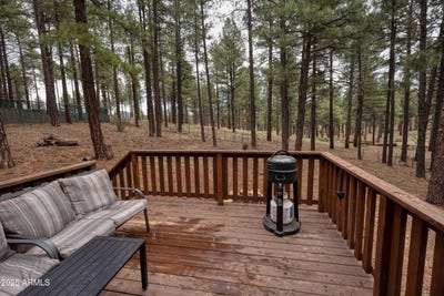 /international/us/569-s-friar-tuck-trail-williams-az-110103111812/