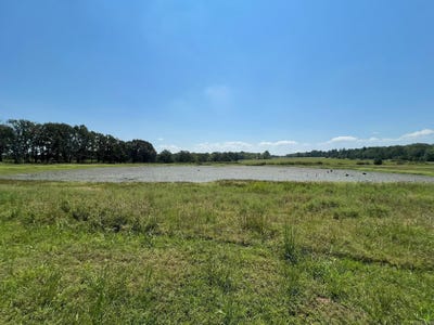 /international/us/hwy-16-w-clinton-ar-110107810109/