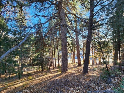 /international/us/0-lovers-lane-rimforest-ca-110100813940/?lang=zh-cn