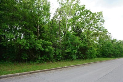 /international/us/0-columbia-avenue-lot-20-rolla-mo-110099261431/