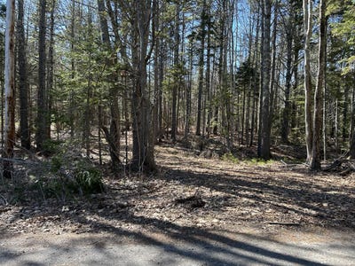 /international/us/laurel-shore-drive-lot-146-harpswell-me-110107402074/