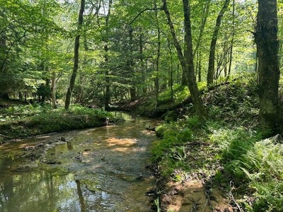 /international/us/6b-turkey-hollow-road-sigel-pa-110119778163/