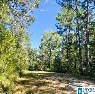 /international/us/0-central-avenue-montevallo-al-110100062949/