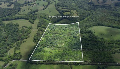 /international/us/1-casey-mill-road-berry-ky-110100614738/