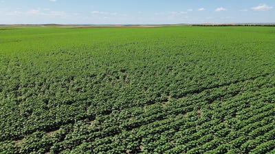/international/us/tbd-co-hwy-15-presho-sd-110101152161/?lang=en