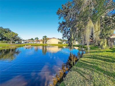 /international/us/4336-winding-oaks-circle-mulberry-fl-110120090249/