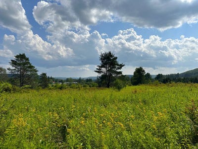 /international/us/vl-white-creek-road-friendship-ny-110100514734/?lang=zh-cn