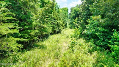 /international/us/1-ditney-hill-rd-drakesboro-ky-110107933653/