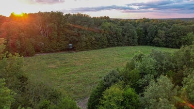 /international/us/1651-yellow-creek-road-dickson-tn-110098306382/
