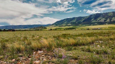 /international/us/2700-hwy-130-centennial-wy-110098690691/