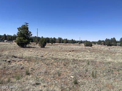 /international/us/2278-meadow-lane-overgaard-az-110100189841/