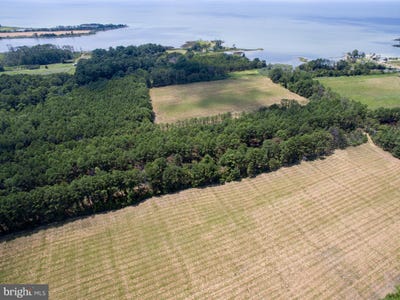 /international/us/hoopers-neck-road-taylors-island-md-110103065363/