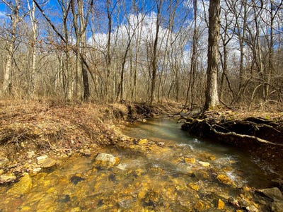 /international/us/tbd-varvel-road-willow-springs-mo-110097837178/