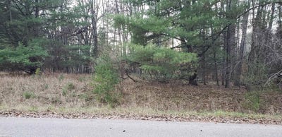 /international/us/robindale-way-gladwin-mi-110099990030/