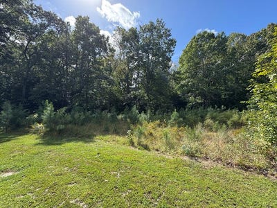 /international/us/branch-road-lot-3b-temperanceville-va-110102687162/