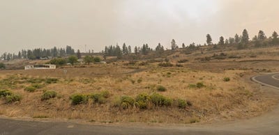 /international/us/41970-fawn-n-ln-deer-meadows-wa-110104030383/