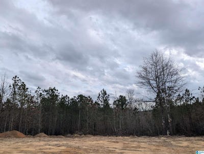 /international/us/245-highway-183-lawley-al-110097493056/?lang=zh-cn
