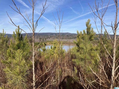 /international/us/13699-highway-55-westover-al-110108498517/