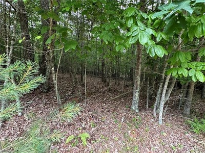 /international/us/live-oak-lane-galax-va-110093053556/