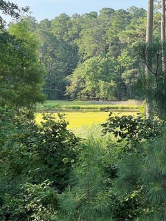 /international/us/lot-75-olde-mill-lane-new-church-va-110101123051/