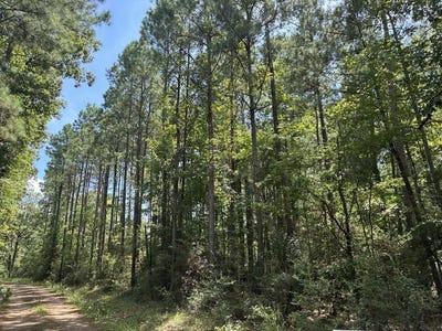 /international/us/1341-county-road-2603-shelbyville-tx-110109183602/