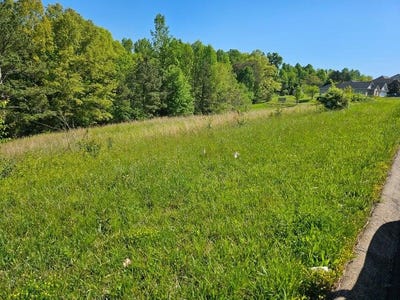 /international/us/0-county-road-327-lot-8-niota-tn-110101450729/
